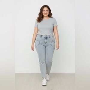 High Waisted Tapered Denim Size 24W, NWT, G by Giuliana